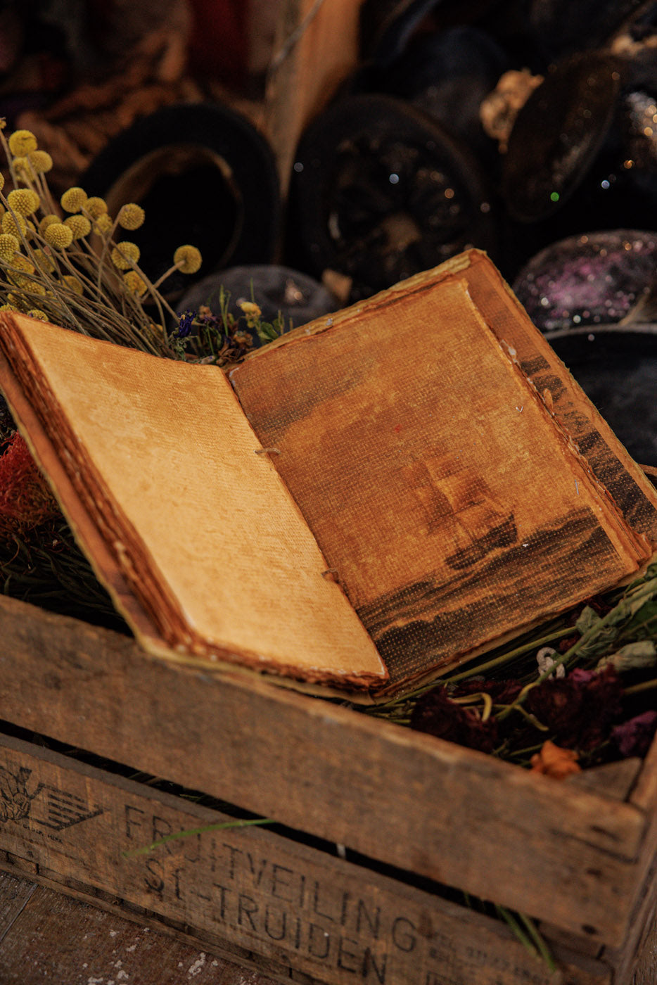 Den Endeløse Hav Notesbog 