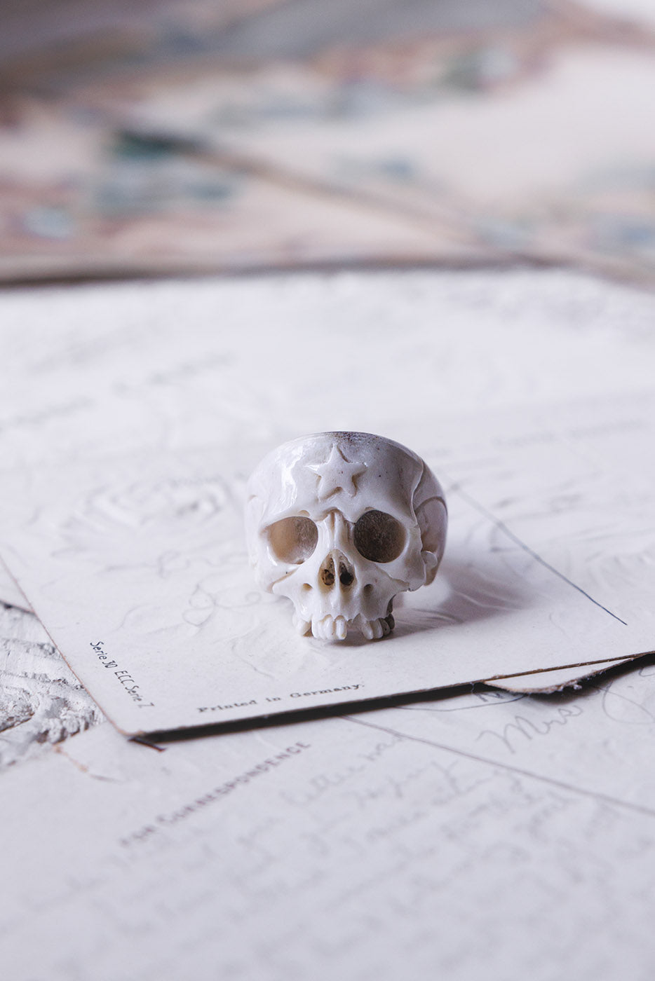 Beloved Antler Skull Ring