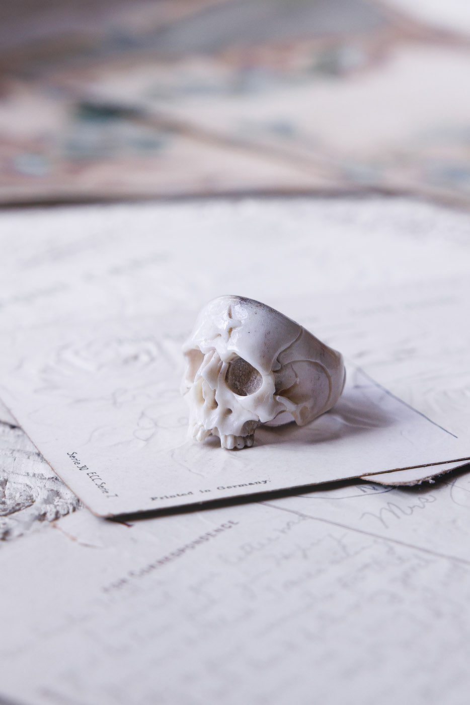 Beloved Antler Skull Ring