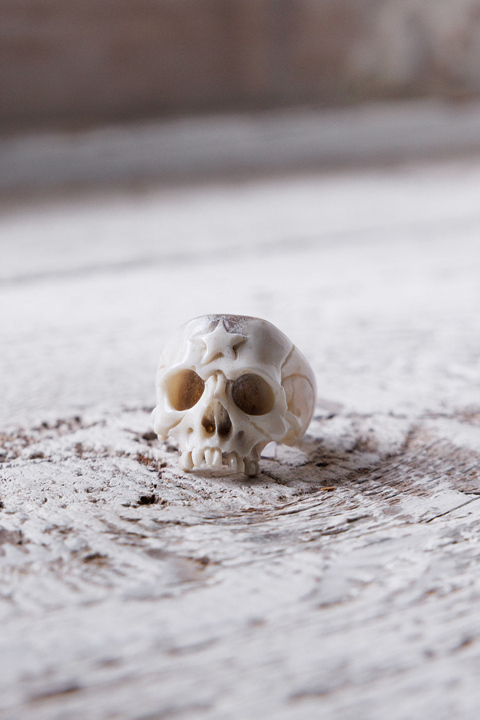 Beloved Antler Skull Ring