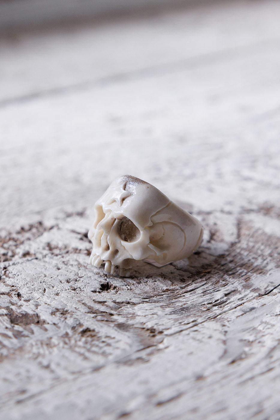 Beloved Antler Skull Ring