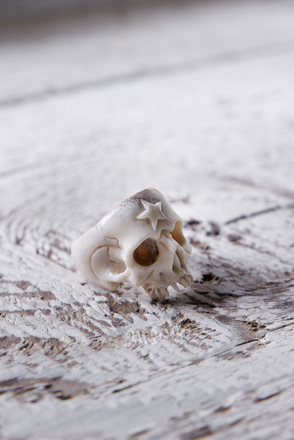 Beloved Antler Skull Ring